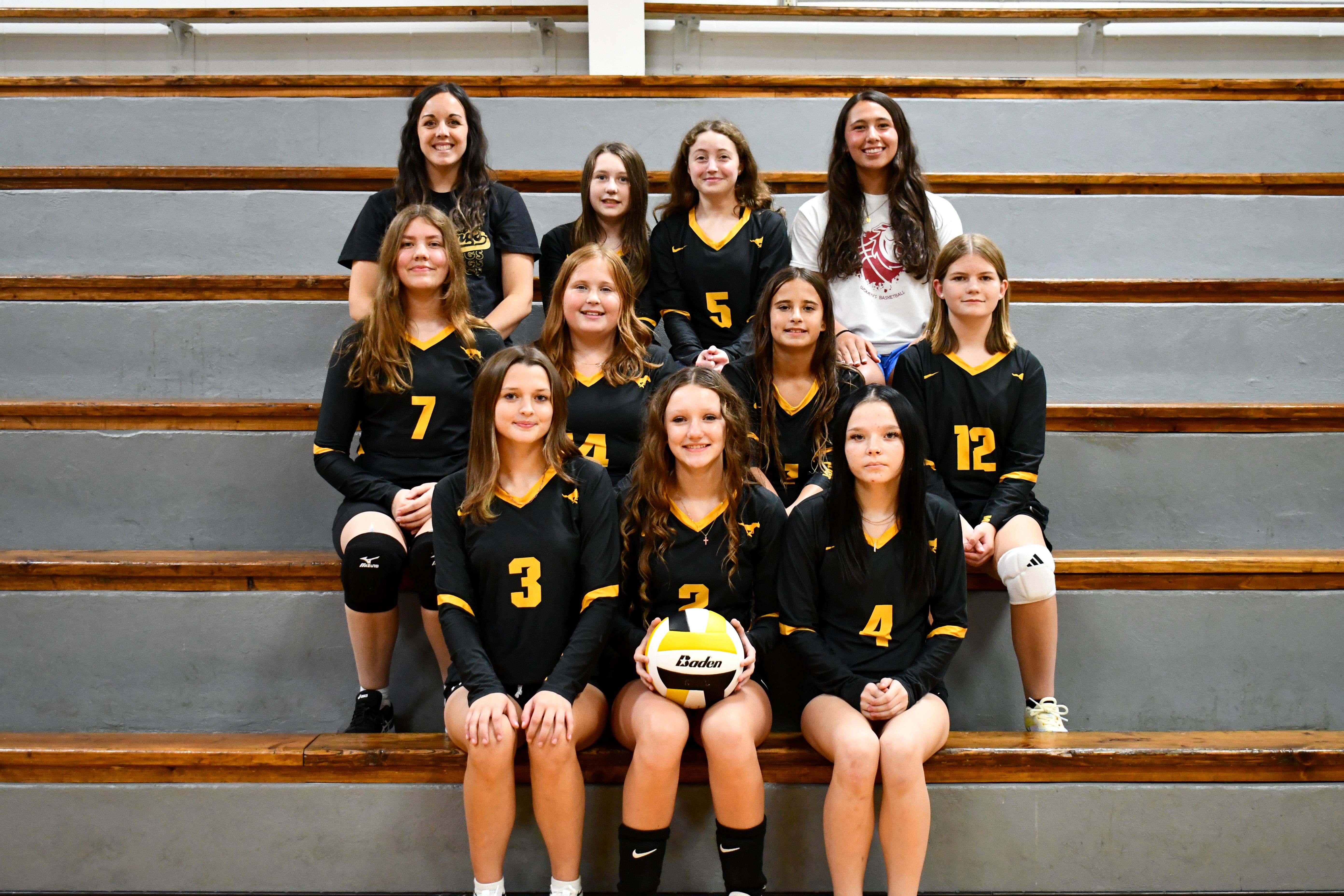 JH Volleyball Team 2026